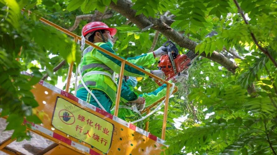 黄浦区小区绿化工程报价单